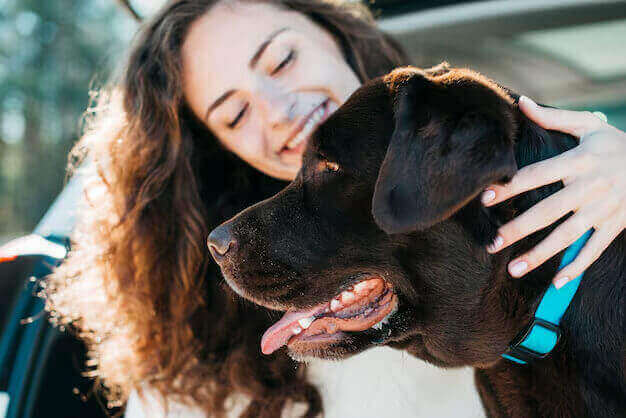 Newsletter July-2025 veterinary newsletters