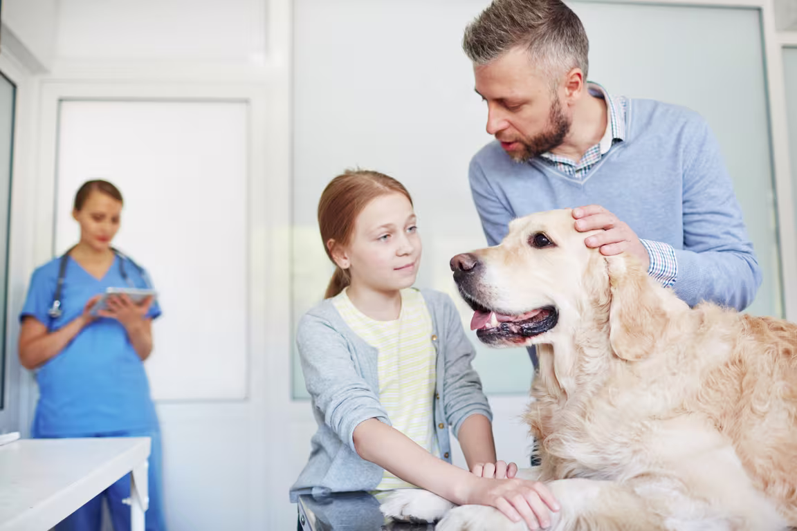 Newsletter September-2025 veterinary newsletters