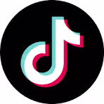 tiktok icon