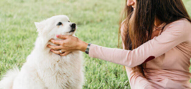 Newsletter June-2025 veterinary newsletters